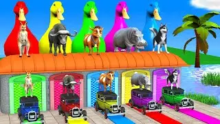 Long Slide Game with Cow Elephant Gorilla Hippopotamus Tiger 3d Animal Game Funny 3d Animals