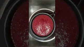 Easy Plum Jelly for Beginners: From Fruit to Jar
