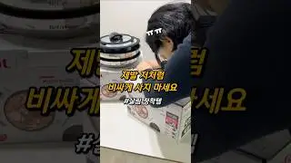 돌고돌아 다시 정착한 테팔후라이팬 추천🍳