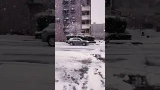 Snowfall ❄️ daytimes #seaofjapan #highlights