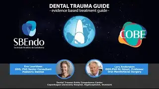 Parceria Dental Trauma Guide - SBEndo
