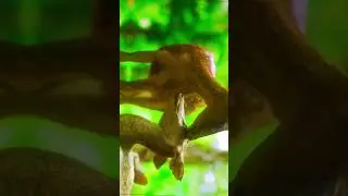 To see the beauty #nature #shorts