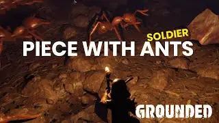 Grounded Tip: How to Make Soldier Ants NOT Attack You?