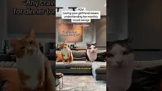 CAT MEMES 🐱Loving your GF means understanding her mood swings #catmemes #relatable #relationship