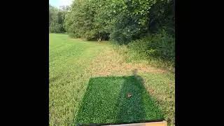 Nice looking hole on a brand new disc golf course #discgolf