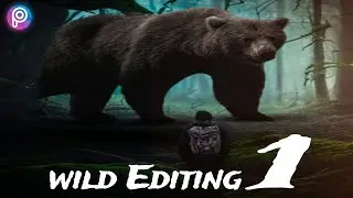 PicsArt Mobile Editing.....(Wild project1)