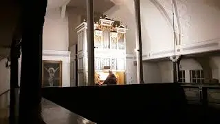 Bram Stoker's Dracula Vampire Hunters (organ cover)