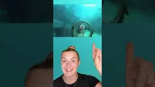 Самая страшная водная горка в мире!😱