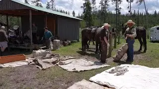 Montana law enforcement agencies work together on mock backcountry investigation