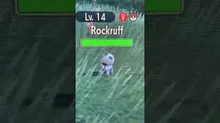 A Blue Rockruff in Pok&eacute;mon? #pokemon #pokemonshiny #shinypokemon