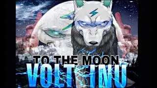 1000x Gem! Volt Inu! Hyper-deflationary token! NFTs, nodes, altcoins, staking & farming!