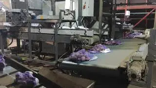 линия для упаковки картофеля в мешки по 2.5 с переупаковщиком