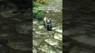 Lore Accurate Khajiit.. #skyrim #shorts #theelderscrolls #meme