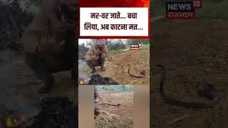 MP Man Snake Viral Video : सांप से बातें करते युवक का वीडियो वायरल! | N18S | Top News | Viral Video