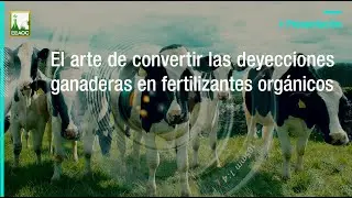 El arte de convertir las deyecciones ganaderas en fertilizantes org&aacute;nicos 2024