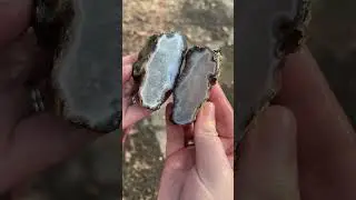 From SE Oregon #agate #quartz #rocks #rock #geology #minerals #nature #earth #wow #love #excited