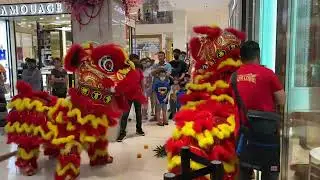 Traditional lion dance performance by Xuan Long around Pavilion Bukit Bintang