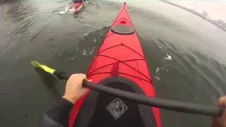 Kayak Tidal Tees - ( Ships and Seals )