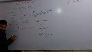 L4 Updated part1 inheritance of two traits, hybrid cross law of independent assortment