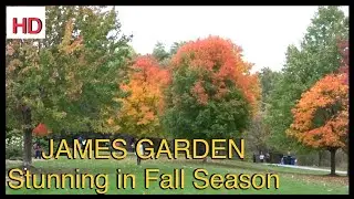 James Gardens - Toronto | Stunning Autumn Season Exciting Time for Photography | Ontario, Canada