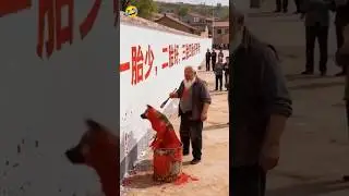 What Painting Did the Dog Make? 🐶🎨😂 || #wasikafunzone #funnypainting #funnydogvideos #comedydog