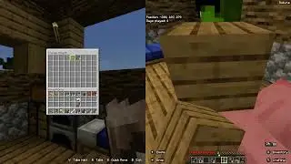 PIG GETS CAUGHT GIVING STRAIGHT TEETH IN MINECRAFT SPLIT SCREEN 