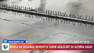 MUĞLA'DA SAĞANAK NEDENİYLE TARIM ARAZİLERİ SU ALTINDA KALDI