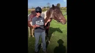 Older Horse Starts Moving Better on Summit!