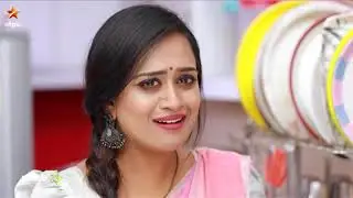 Raja Rani Full Episode 491