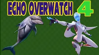 Echo Overwatch 4 [Montage]