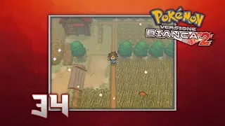 Pokemon Bianco 2 ITA - #34 - Percorso 7