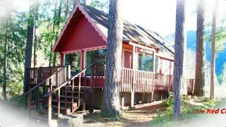 Mt Rainier Little Red Cabin | Cabins in Ashford
