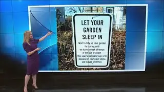Wait to start gardening to help pollinators