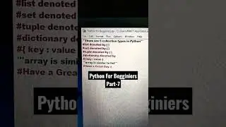 Collection Types in Python! 🤔 