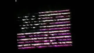 Disney Nostalgia, 1988 | The Electrical Water Pageant at the Polynesian Village Resort