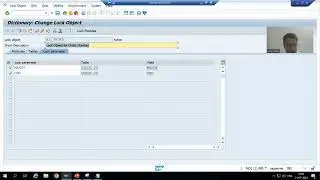 53 - ABAP Dictionary - Lock Objects - Lock Modules