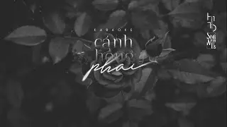 Karaoke | Cánh Hồng Phai | Acoustic Beat | Tone Nam (Am)