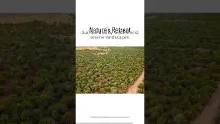 🏡✨ Just Listed! Tbd N3074, Vernon, AZ 85940 | Arizona Real Estate Properties