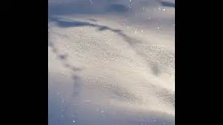 Softly Falling &ndash; Relaxing Saxophone Music for Calm, Focus & Inner Peace