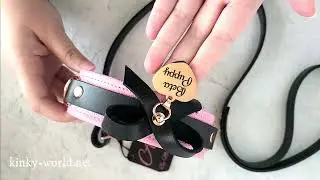 Mercy Industries Review: Pink Leather Bow Collar with Engraved Pendant Visual Overview