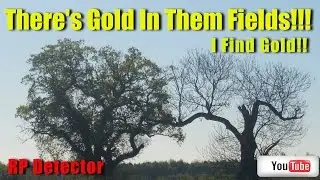 Theres Gold In Them Fields!