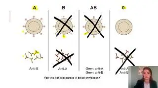 Samenvatting Opslag, Uitscheiding & Bescherming 4 VMBO Biologie Voor Jou MAX