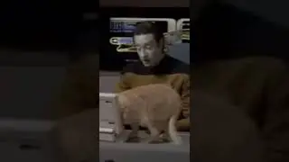 Spot messes with data #patrickstewart #cats #spot #data #tng #startrek