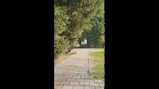 Sk&aacute;k&aacute;n&iacute; přes &scaron;vihadlo - Double Unders in a row