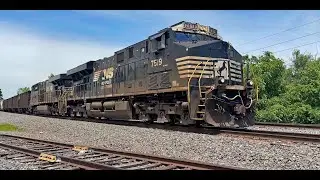 NS 7519