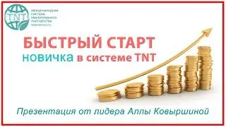 Система TNT. Быстрый старт новичка!
