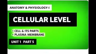 Cellular Level of Organization in Anatomy & Physiology-I for B.Pharmacy 1st Semester