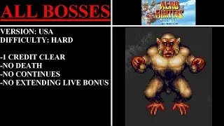 Aero Fighters Special [USA] (Arcade) - (All Bosses | Hard Difficulty)