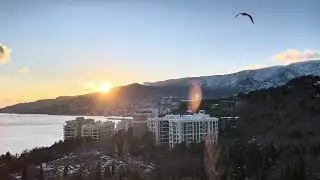 Ялта ❤️ Интурист ❤️ отдых с собакой 
