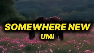 UMI - SOMEWHERE NEW (lyrics)